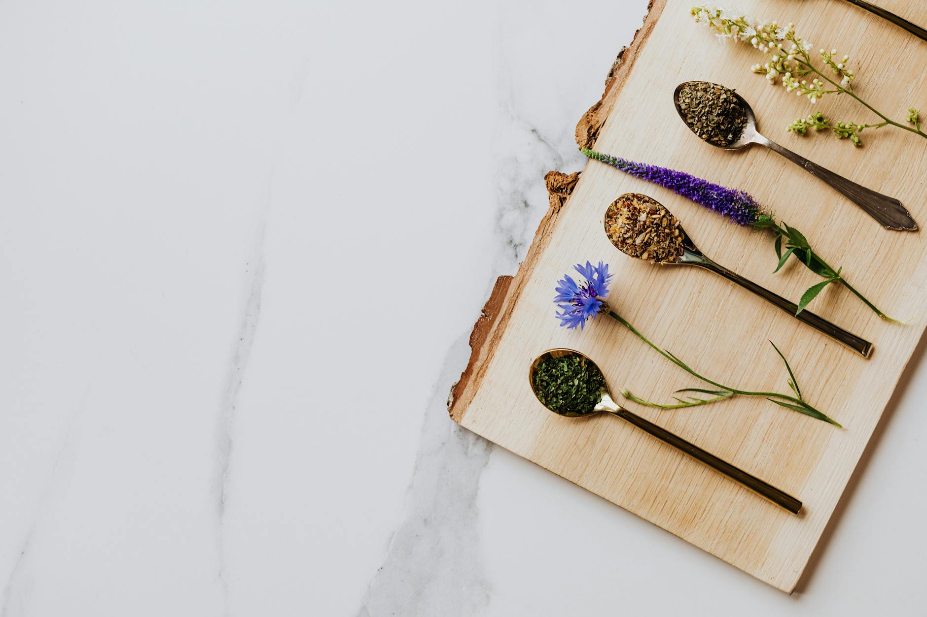 An arrangement of healing herbs and spices