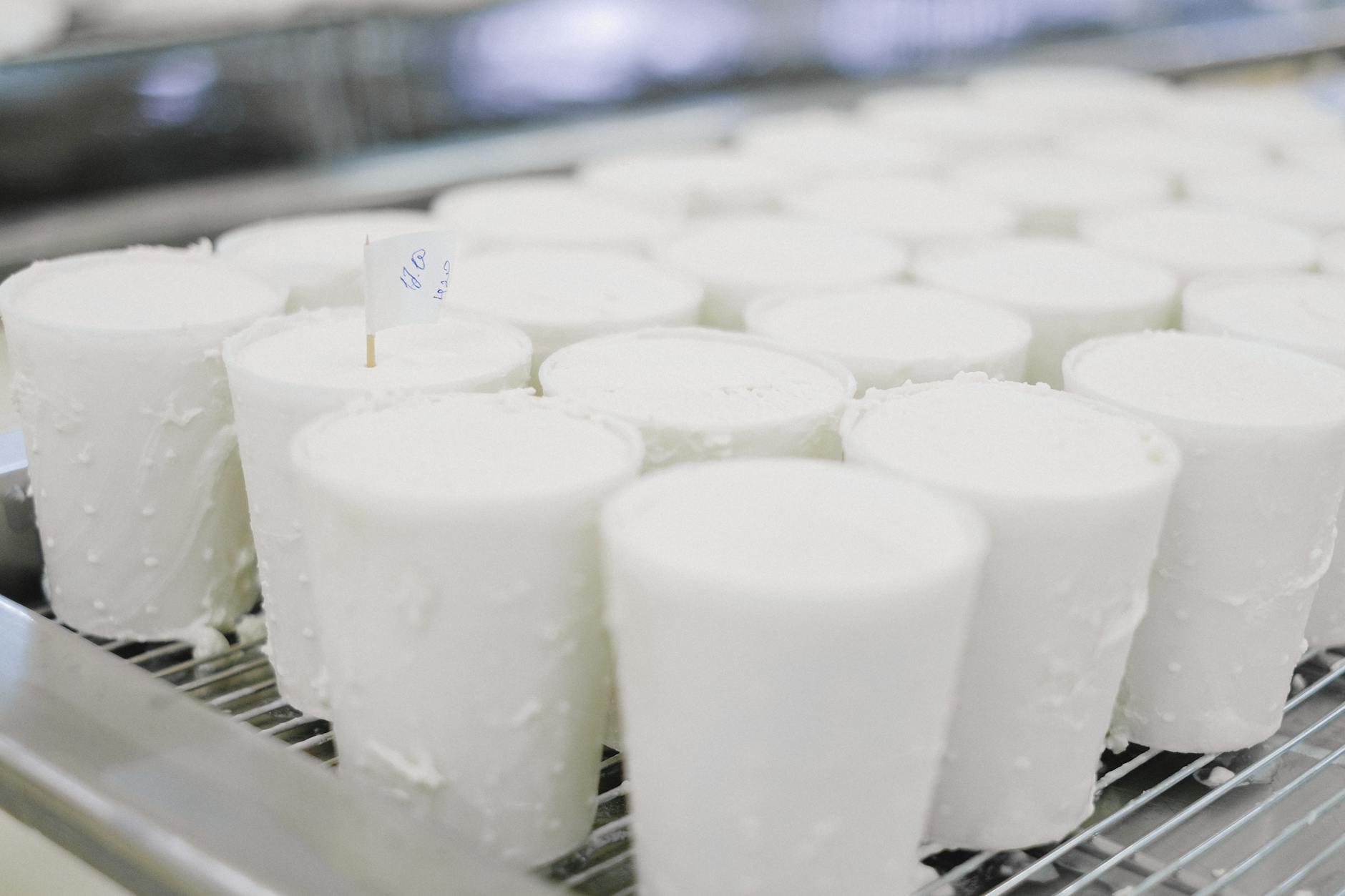 Industrial food production facility
