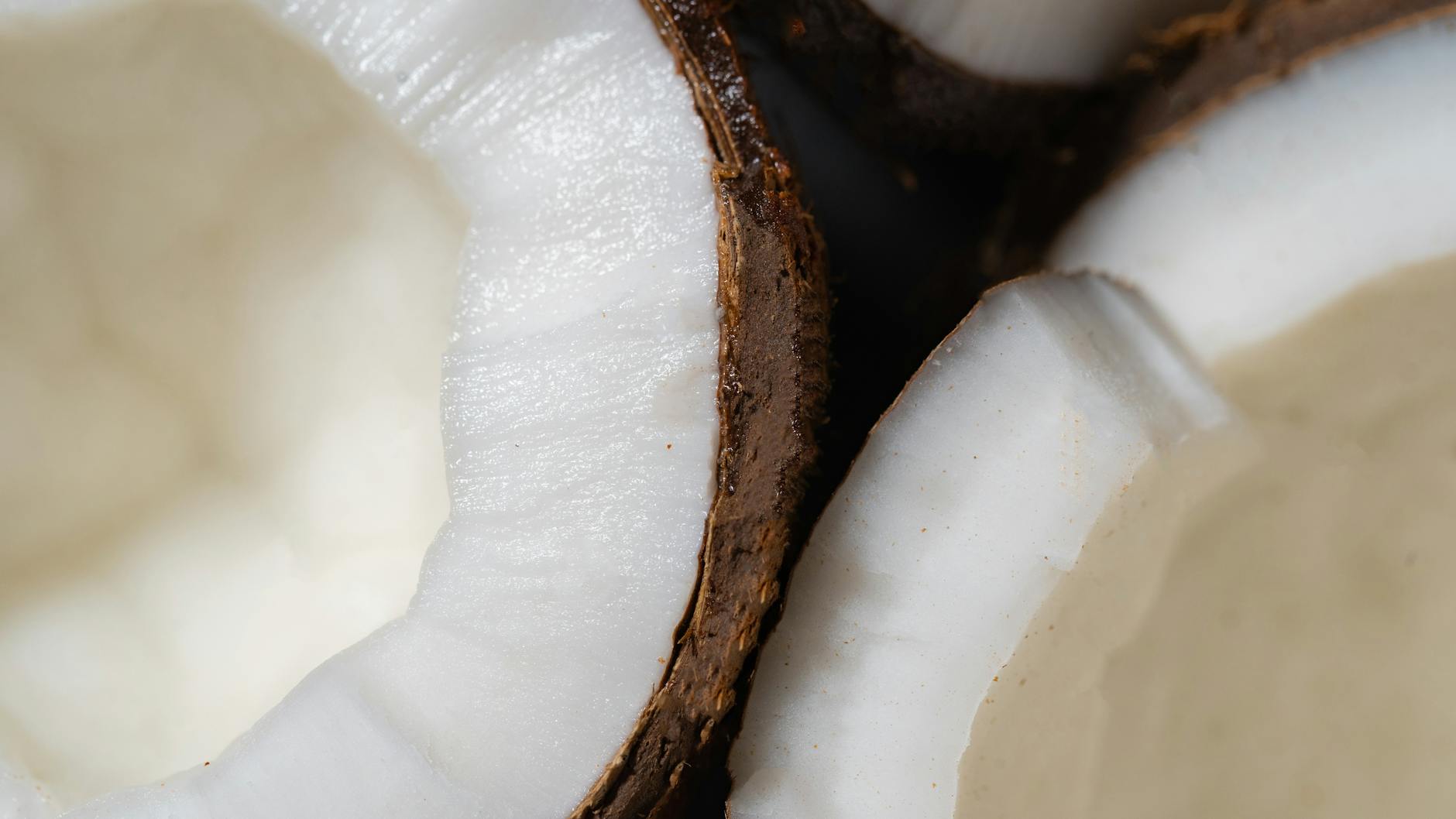 Coconut milk and MCT oil — keto staples
