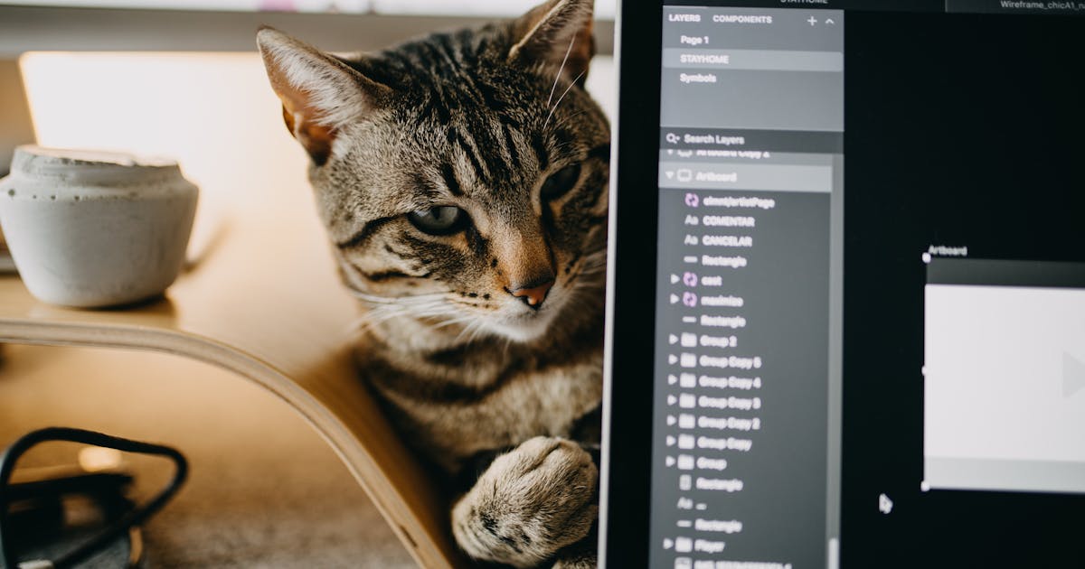 Organic spice farm with sustainable growing practices