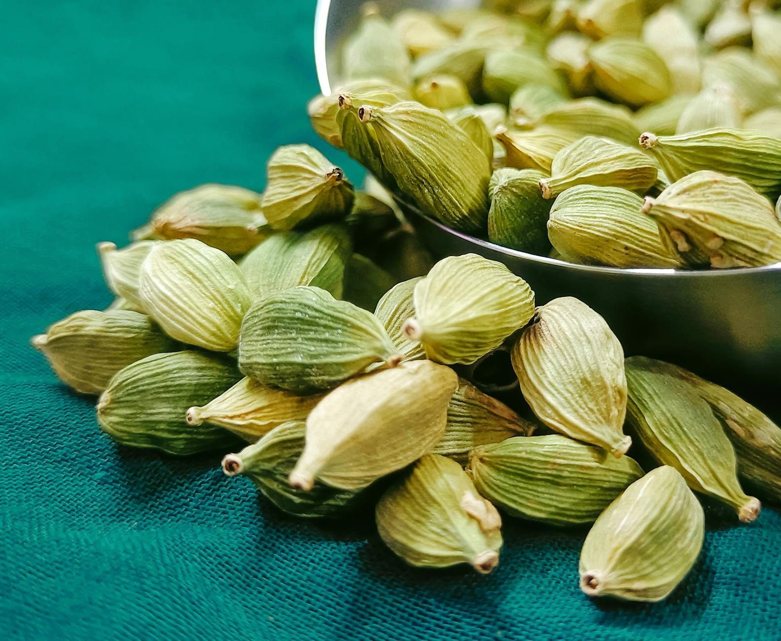 Green cardamom pods in close-up detail