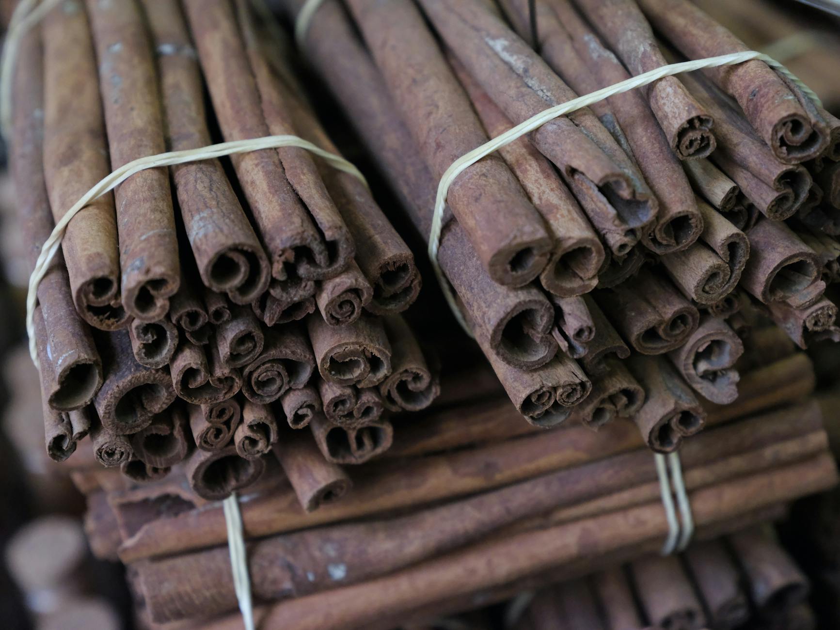 Bundled cinnamon sticks